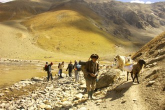 चिनियाँ सुरक्षाकर्मीको डरमा हिमाली भेडापालक