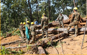 सरकारी आयोजनाले रूख काटे, अर्थ मन्त्रालयले क्षतिपूर्ति तिरेन