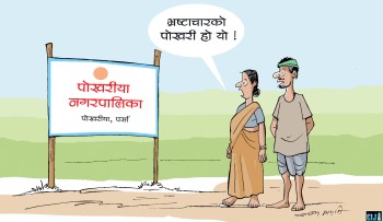 पोखरिया नगरपालिकाः संगठित बेथितिको अड्डा बनेको स्थानीय सरकार