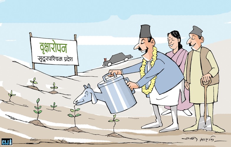 सुदूरपश्चिममा वृक्षरोपणः लाखौं रोपिए, कत्ति पनि जोगाइएन