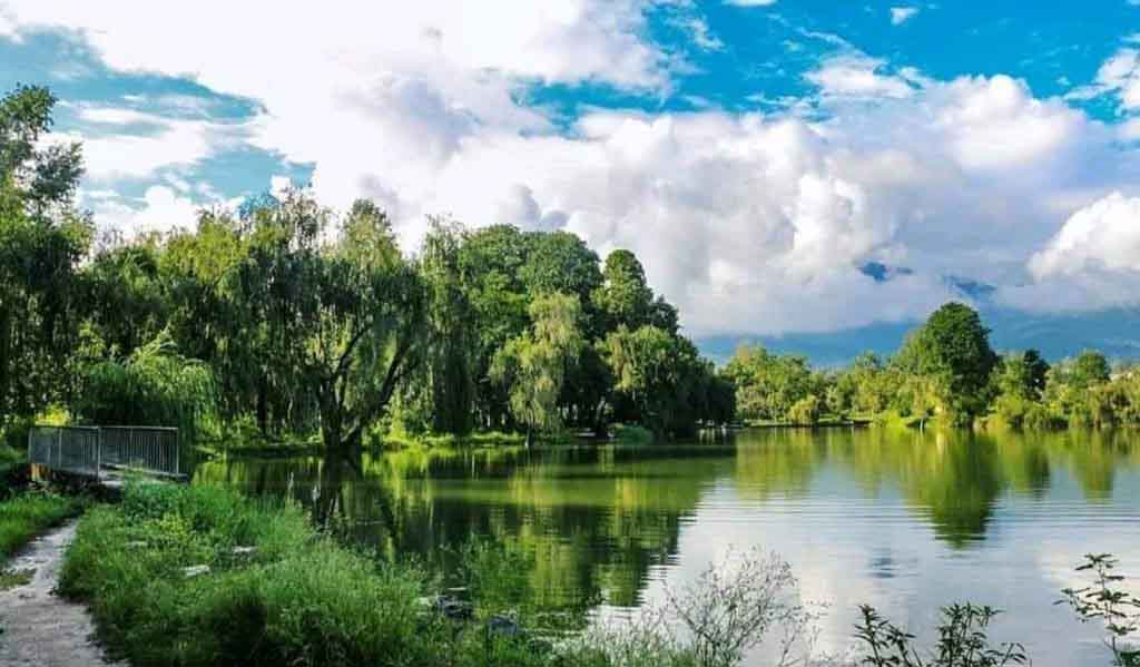 purano-bulbule-tal_surkhet-1024x599-copy-1782985679.jpg