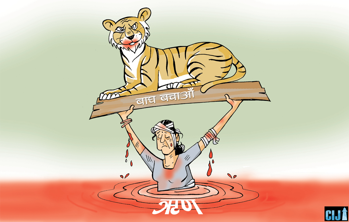 save-tiger-1775539319.jpg