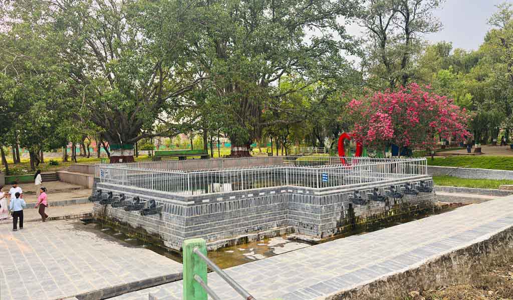 surkhet-bulbule-tal-1024x599-copy-1782985253.jpg