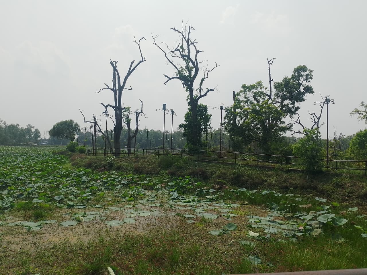 जाखोरताल-जहाँ-पर्यटकीय-स्थल-बनाउने-भन्दै--सोलार-बत्ती-जडान-गरिएको-छ-।-1788245716.jpg