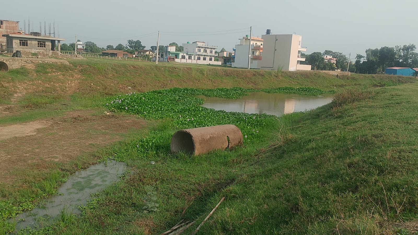 नेतुवा-ताल-1788245253.jpg
