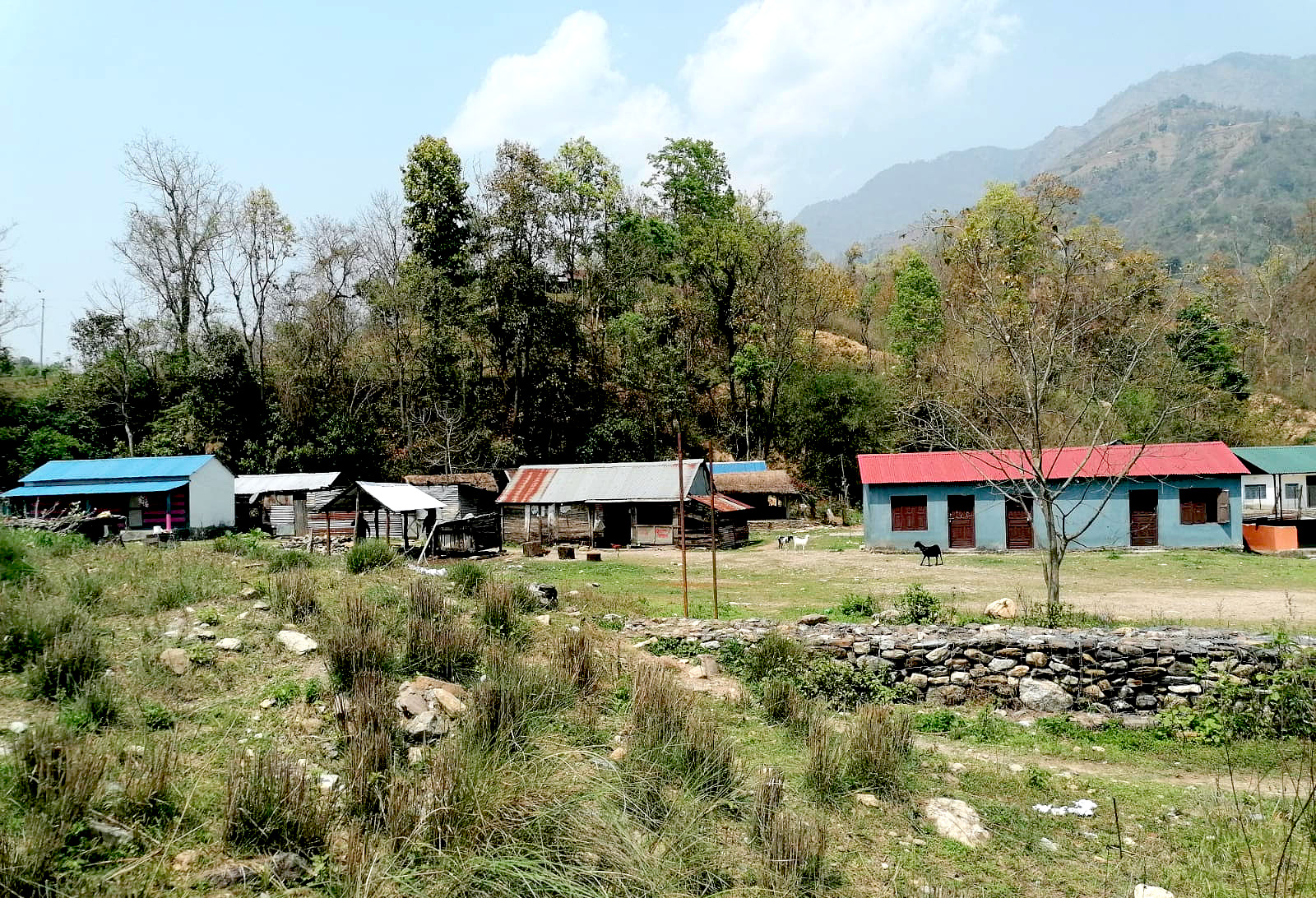 ८-राक्सिराङ्,-देविटार-गाउँ-1782900286.jpg